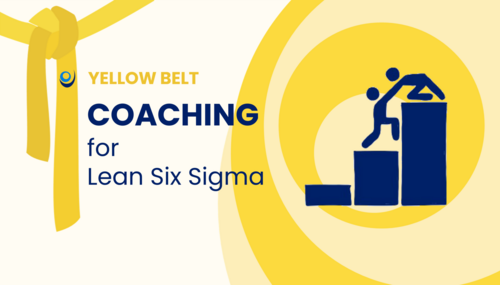 Coaching For Lean Six Sigma​
